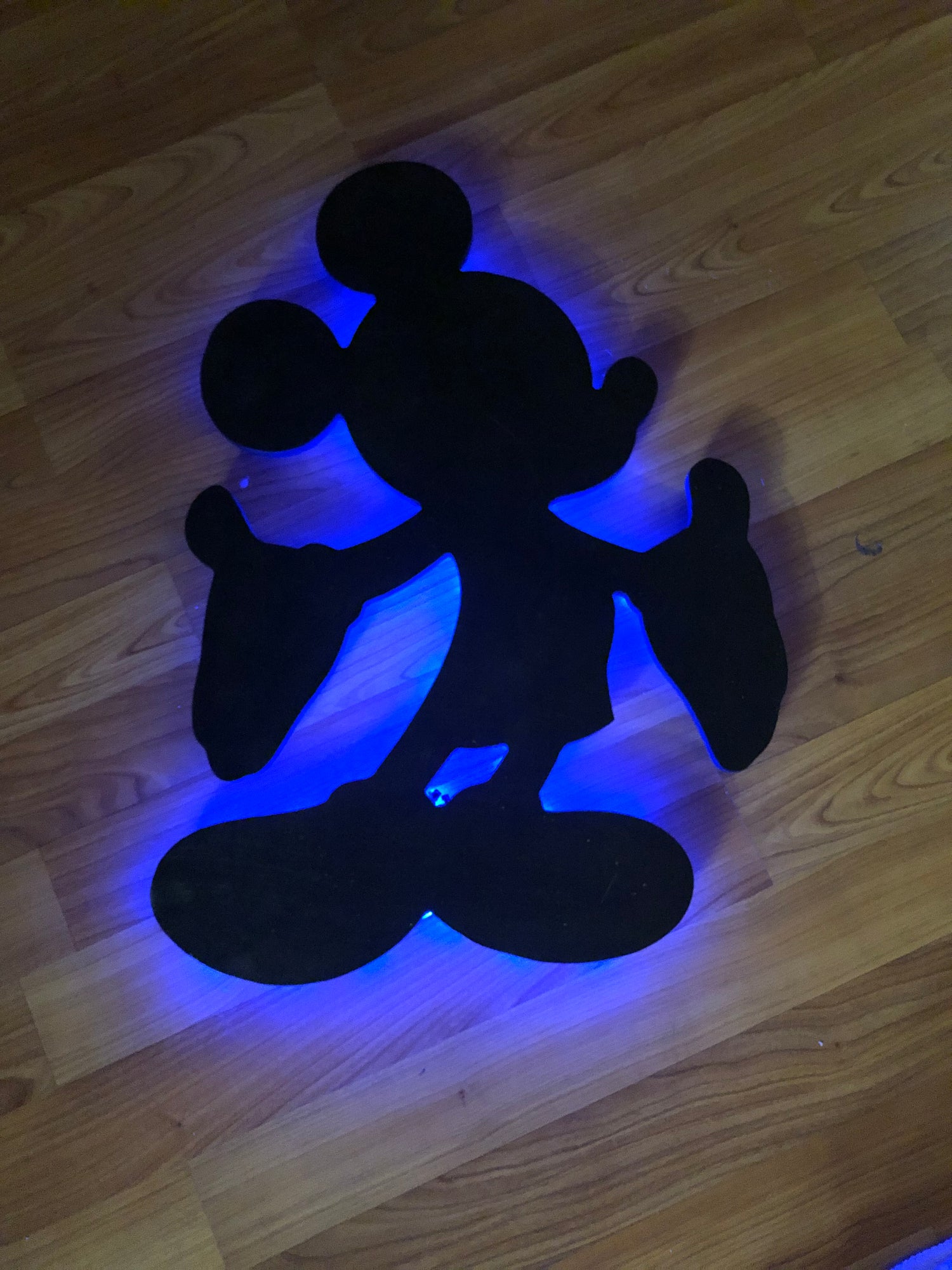 mickey silhouette with led back lights